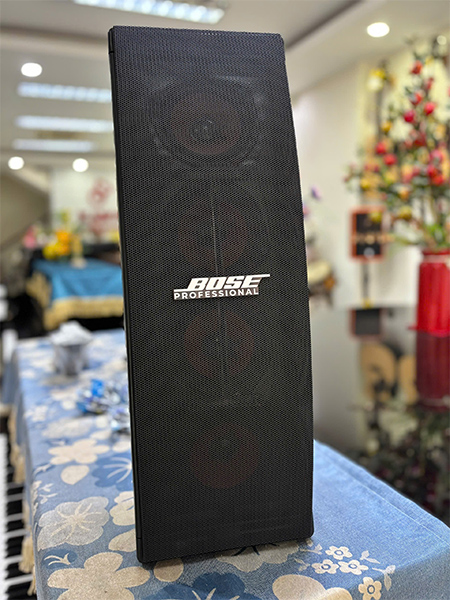 anh thuc te loa bose 402 seri v