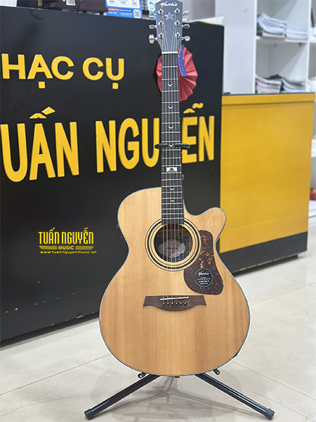 anh thuc te dan guitar mantic gt 10ace 1