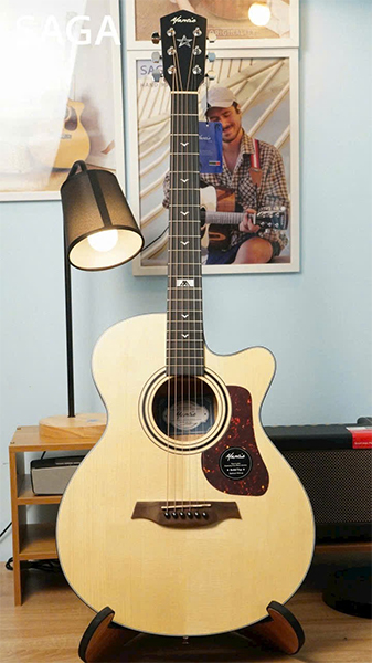 guitar mantic gt 10ac anh thuc te