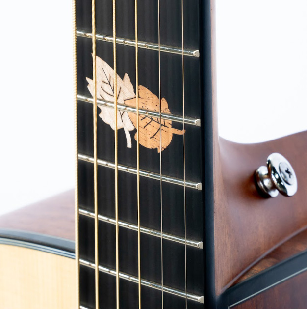 chi tiet trang tri can dan guitar acoustic asolid 54gd