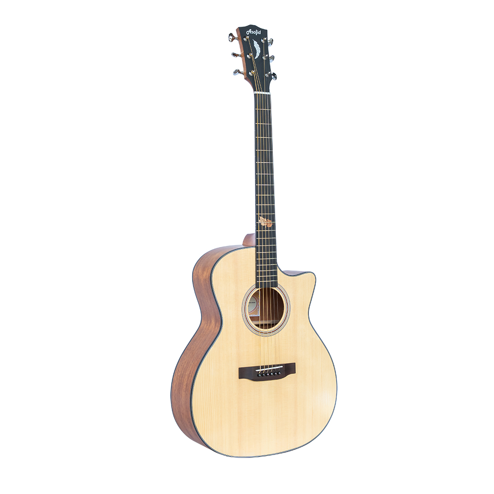 Guitar Acoustic Asolid 54GD