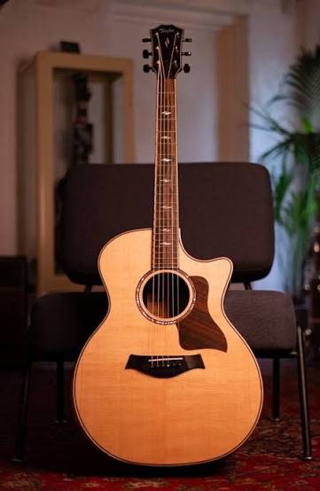 anh thuc te dan guitar taylor 814ce