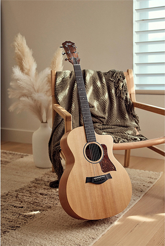 dang dan grand auditorium tren guitar taylor 14ce tieu chuan