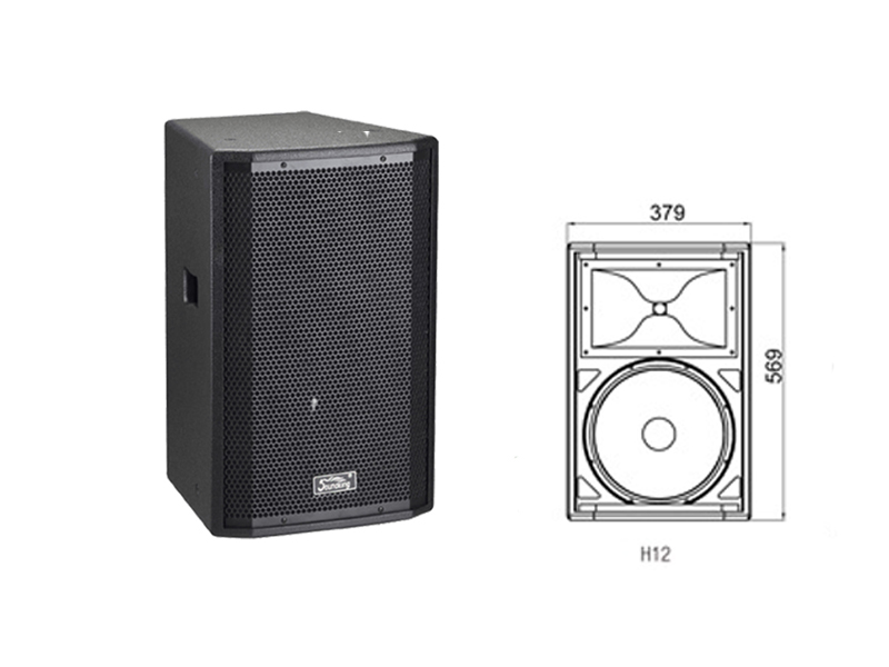 chi tiet loa soundking h12