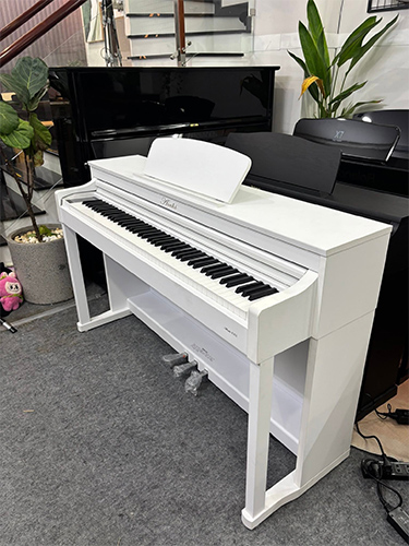 anh thuc te piano dien asahi 302 trang
