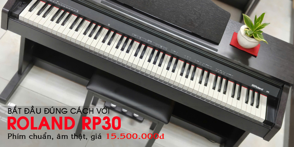 piano dien roland rp 30 gia 15 trieu