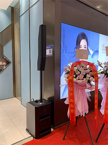 anh thuc te loa cot precision drive sc1203