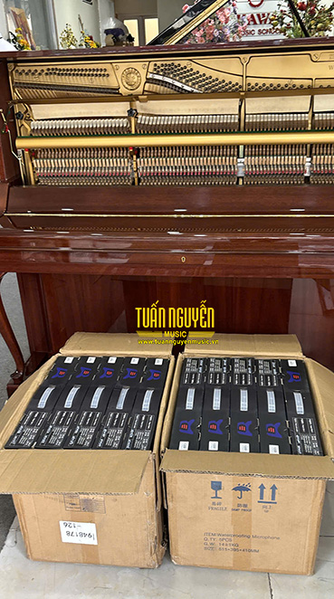 micro lingrui zf19 san hang tuan nguyen music