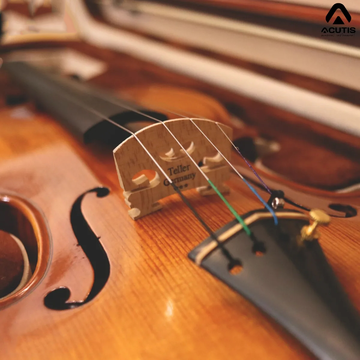 dan-violin-acutis-avf10-action