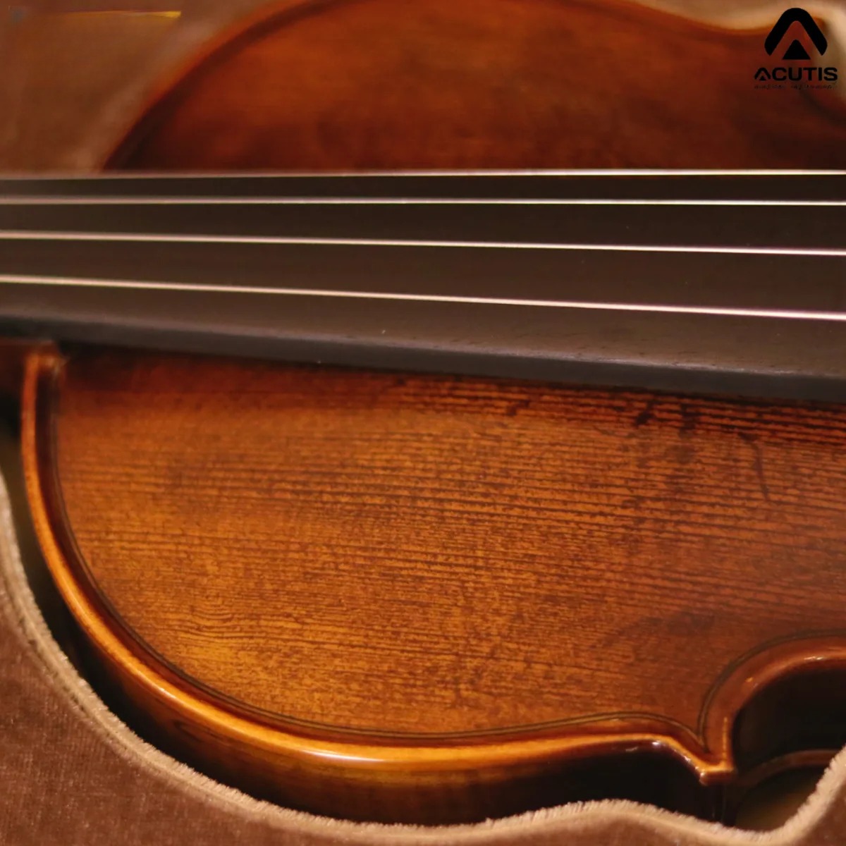 day-dan-violin-acutis-avf110