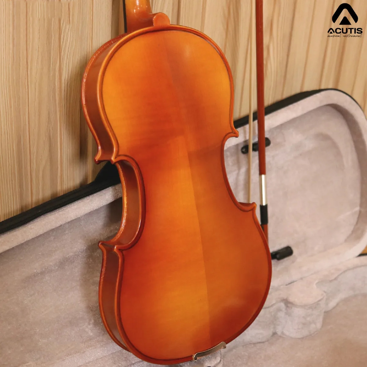 violin-acutis-AHV2203-view-lung