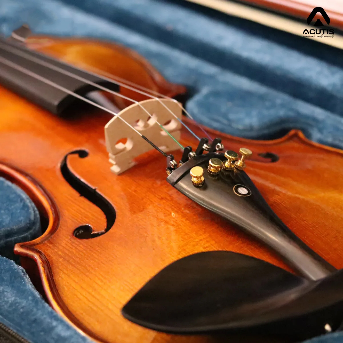 violin-acutis-ahv3301-action