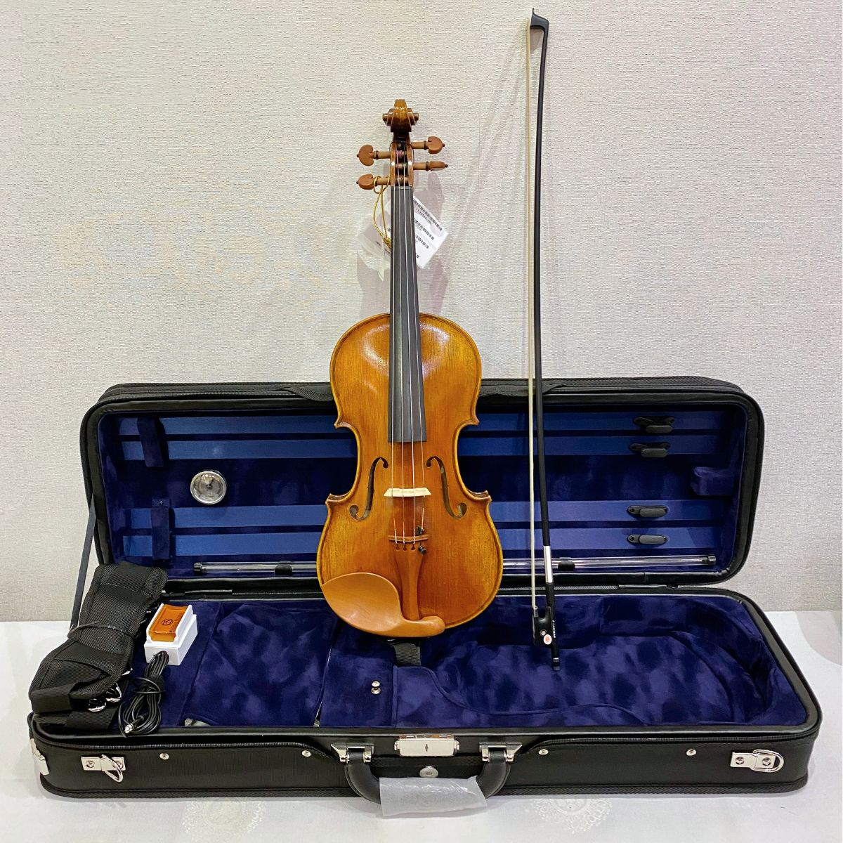 Violin Andreas Eastman VL405