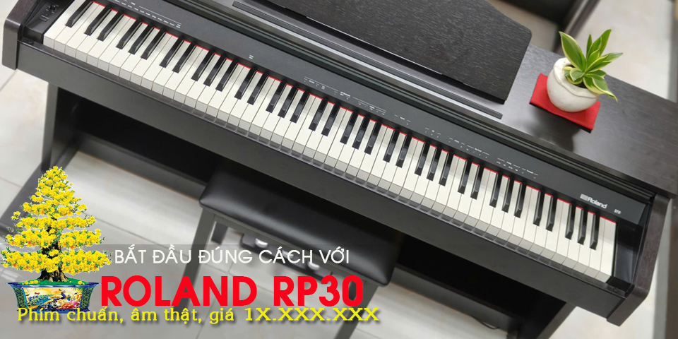 Roland RP-30 - Bắt đầu học đúng cách