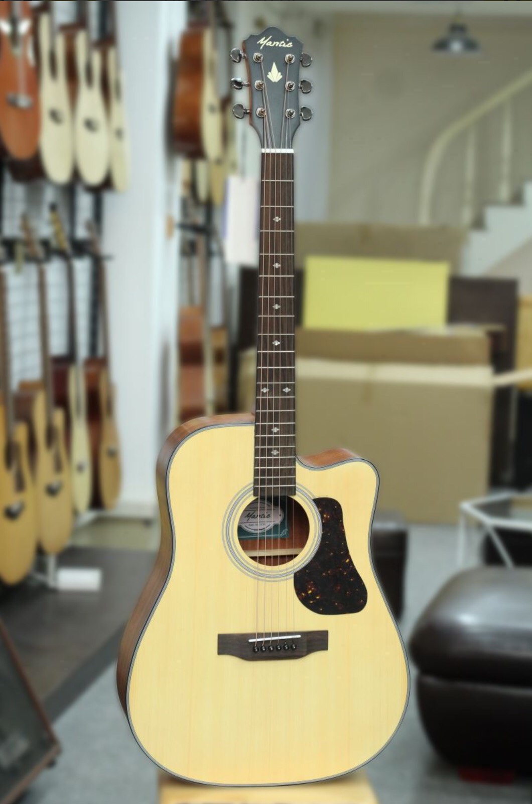 Guitar acoustic Mantic AG370C
