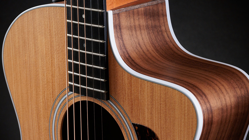 Guitar-Taylor-214CE-7