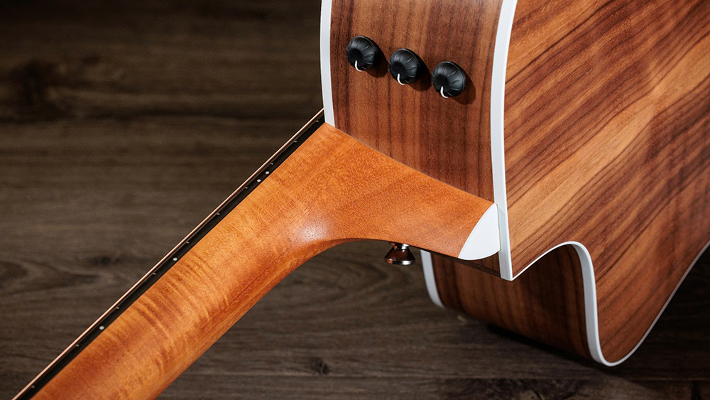 Guitar-Taylor-214CE-9