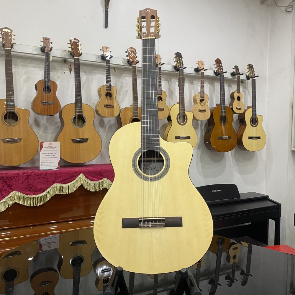 Guitar Classic Cordoba C1M-CE