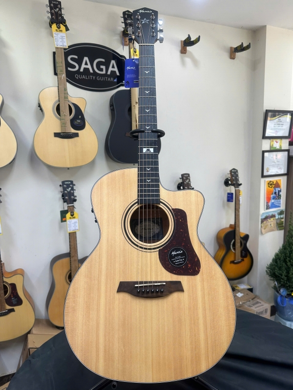 Guitar acoustic Mantic GT-10GC