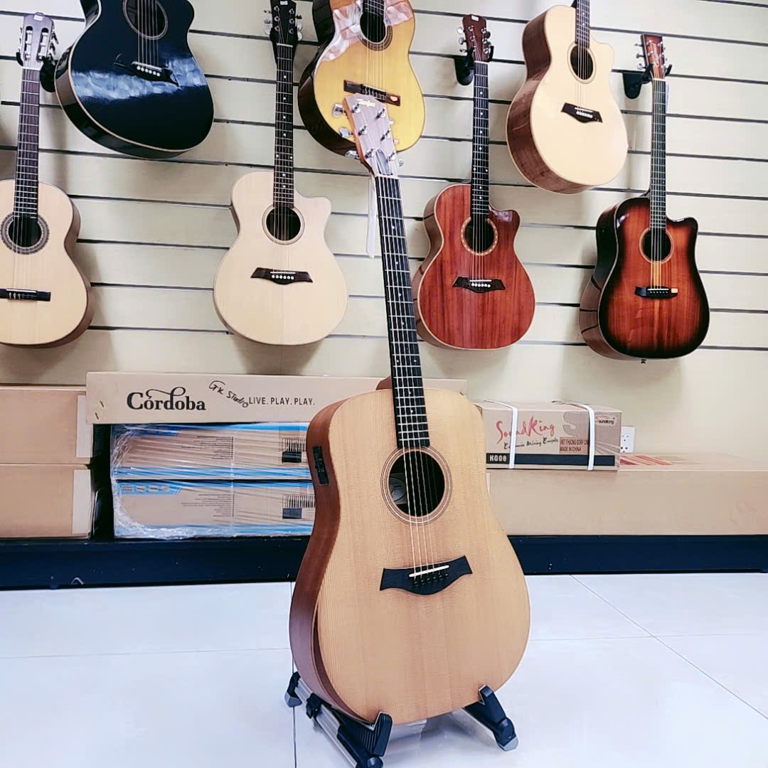 Guitar Taylor Academy A10E