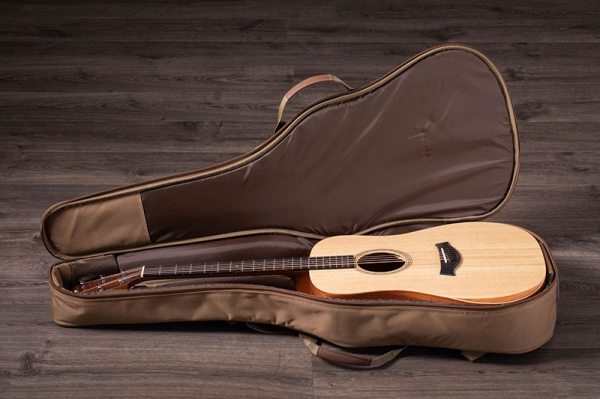 dan-guitar-taylor-academy-a10e-90368e23