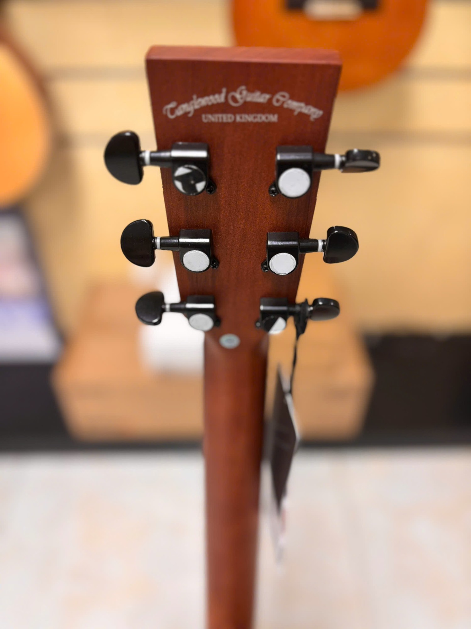 guitar-acoustic-Tanglewood-TS5CE-khoa-dan
