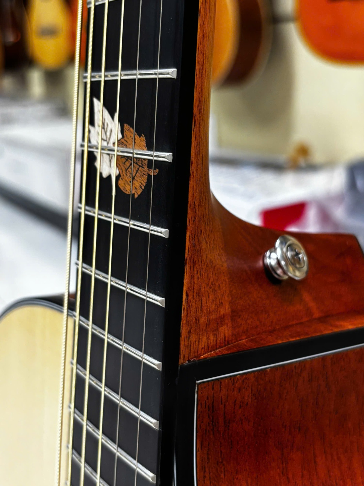 guitar-acoustic-asolid-54ga-13