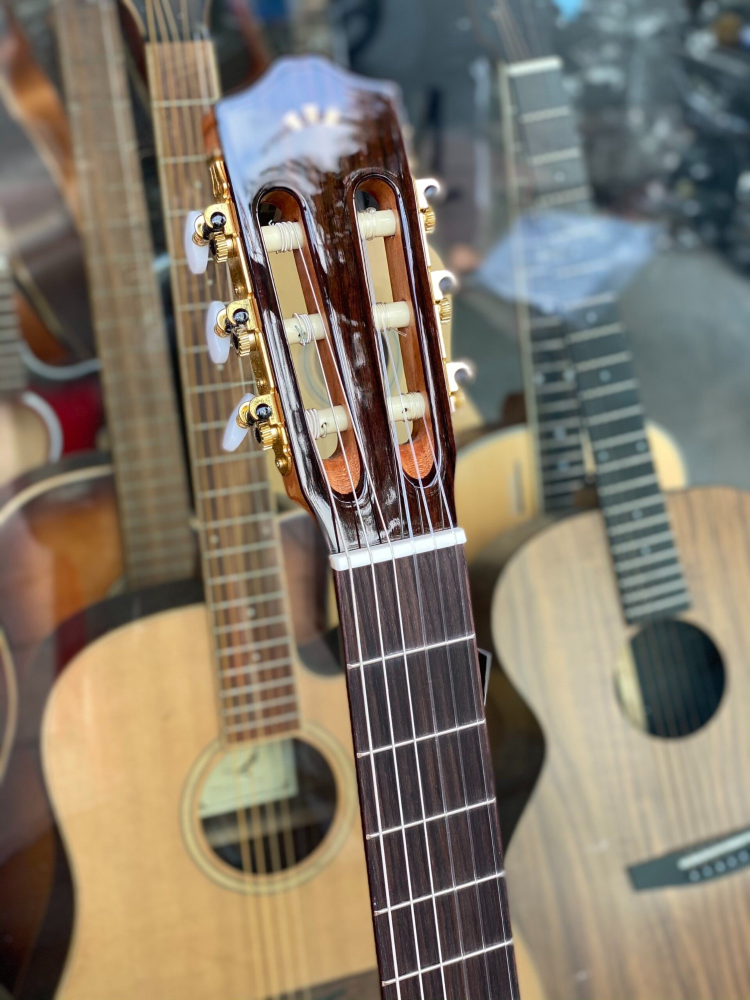 guitar-c5-sp3