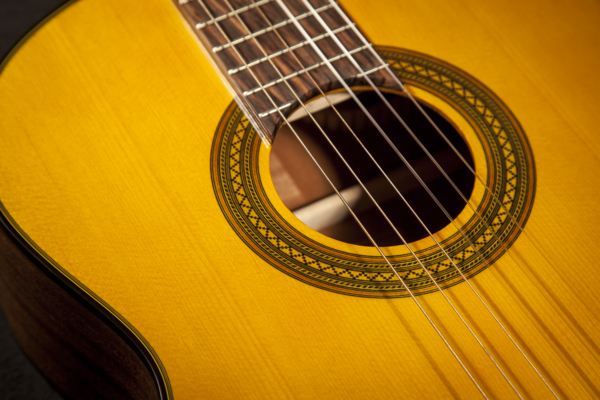 guitar-takamine-G1CE-1