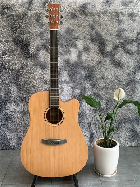 Guitar Tanglewood TWR2-DCE