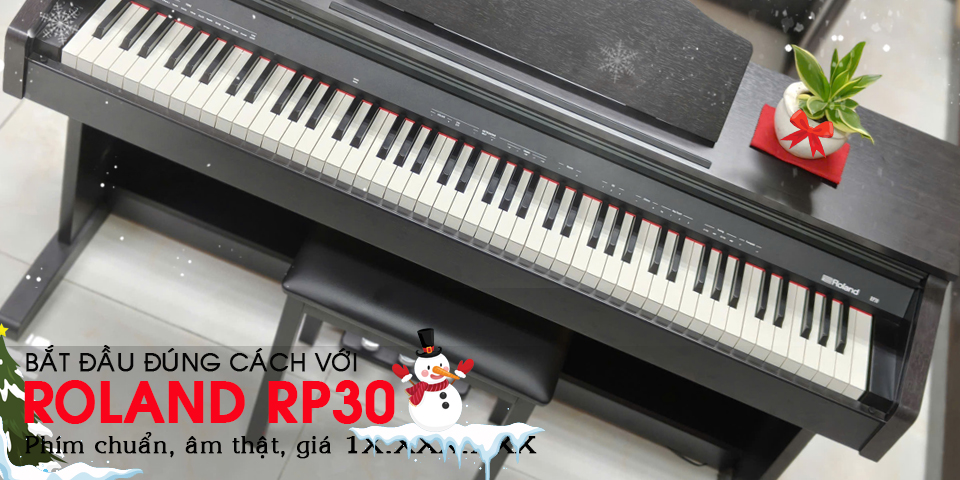Roland RP-30 - Bắt đầu học đúng cách