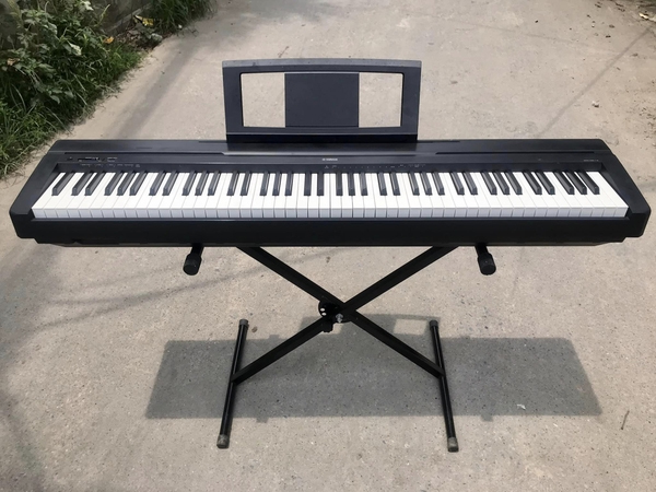 chan-dan-organ