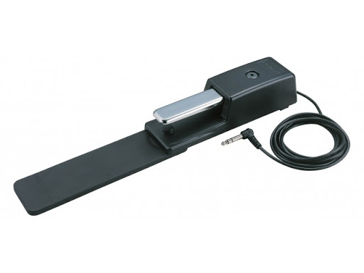 roland-dp-10-chinh-hang