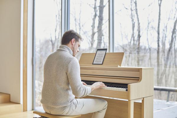 dan piano dien roland hp 702