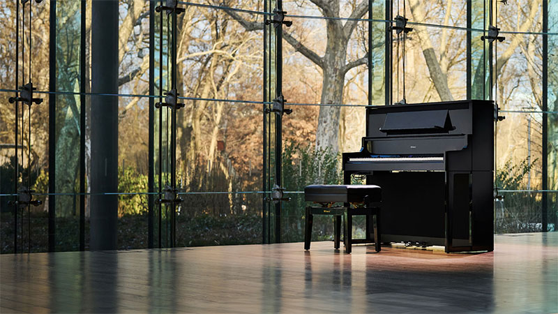 dan piano roland lx-9