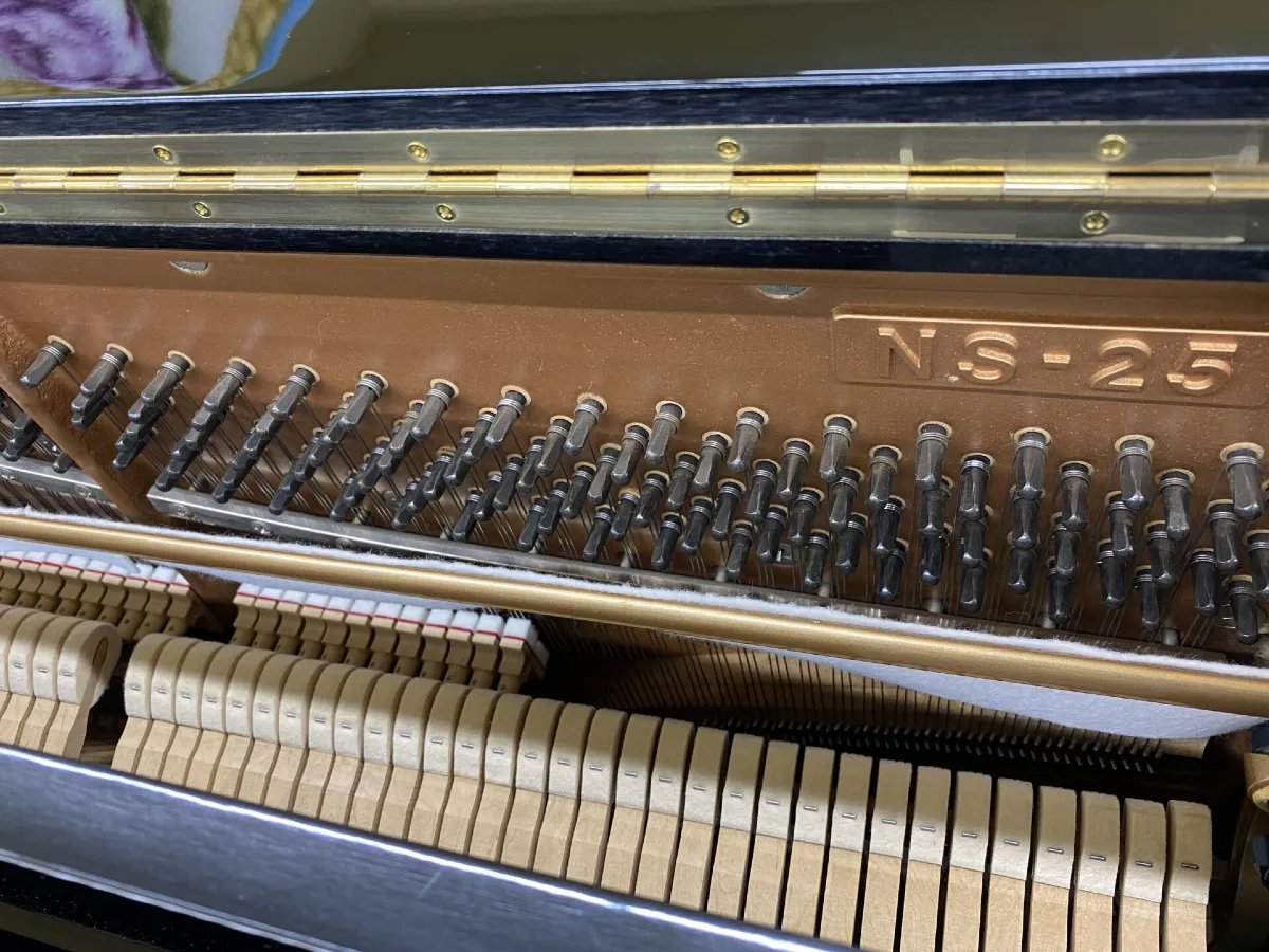 piano-kawai-ns25-bo-may