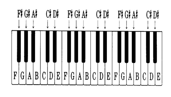 Vị trí các nốt nhạc trên phím đàn piano